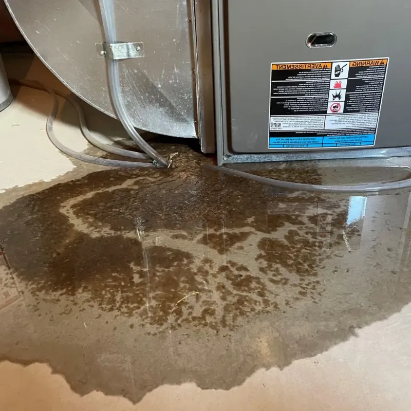 Pipe Burst and Leak Restoration in Port Jervis, NY